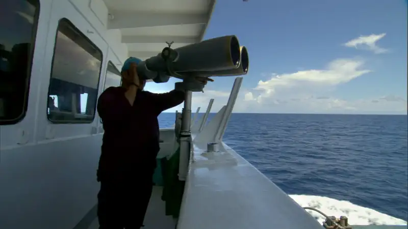 download south pacific (2023) season 1 complete dual audio {hindi-english} netflix original web series 720p | 1080p web-dl