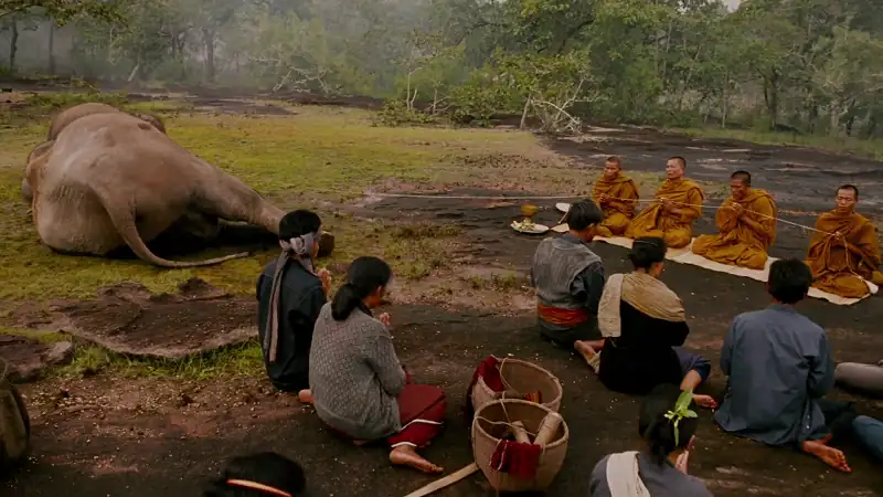 download the protector (2005) dual audio {hindi-english} 480p [400mb] | 720p [800mb] | 1080p [2.3gb]