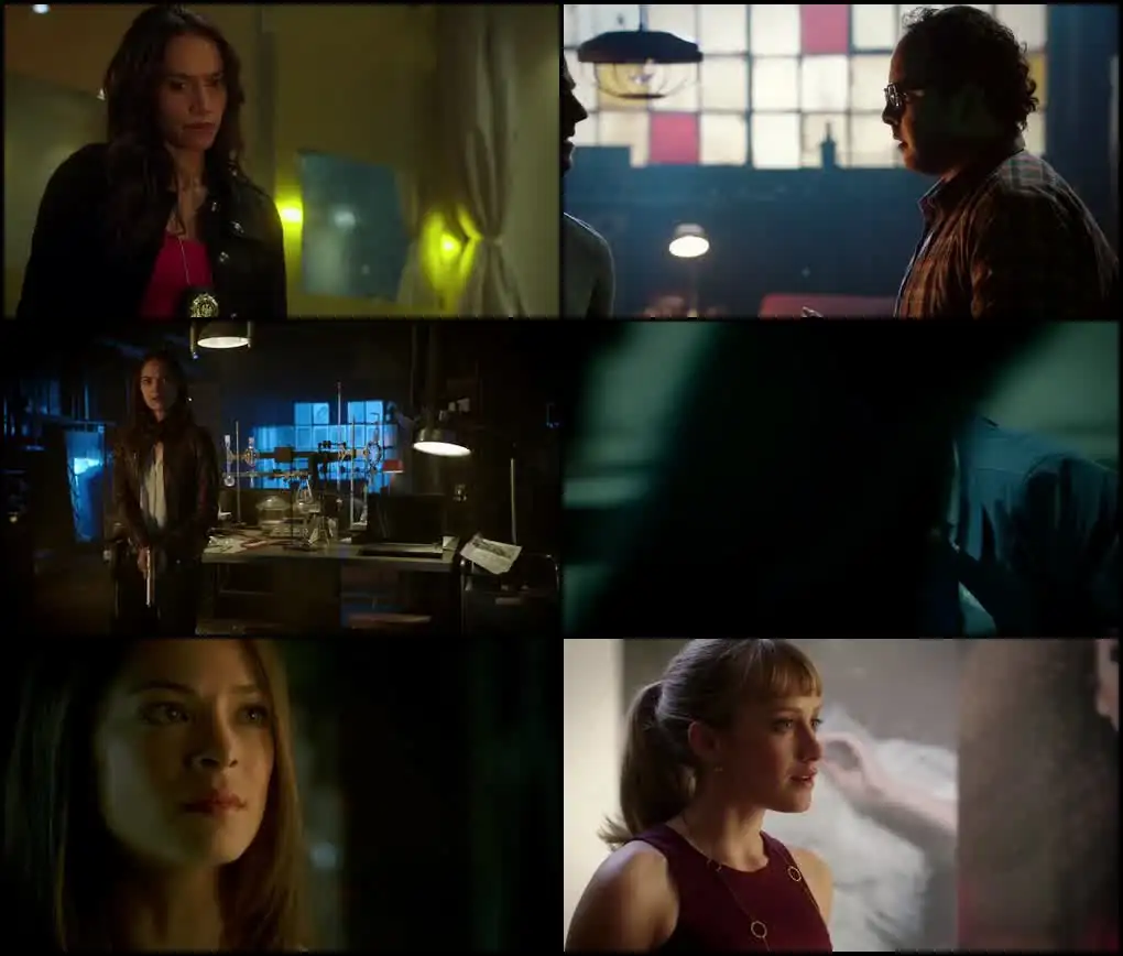 download beauty and the beast (season 1) hindi org. dubbed web series 480p | 720p & 1080p web-dl download beauty and the beast (season 1) hindi org. dubbed web series 480p | 720p & 1080p web-dl