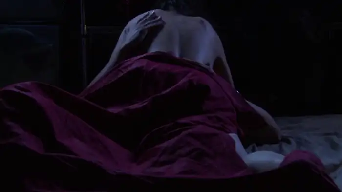 download transmorphers: fall of man (2009) dual audio {hindi-english} 480p [300mb] | 720p [850mb]