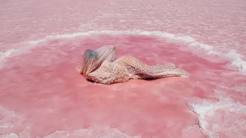 download the subtle art of not giving a f*ck (2023) web-dl {english with subtitles} full movie 480p [300mb] | 720p [800mb] | 1080p [2gb]