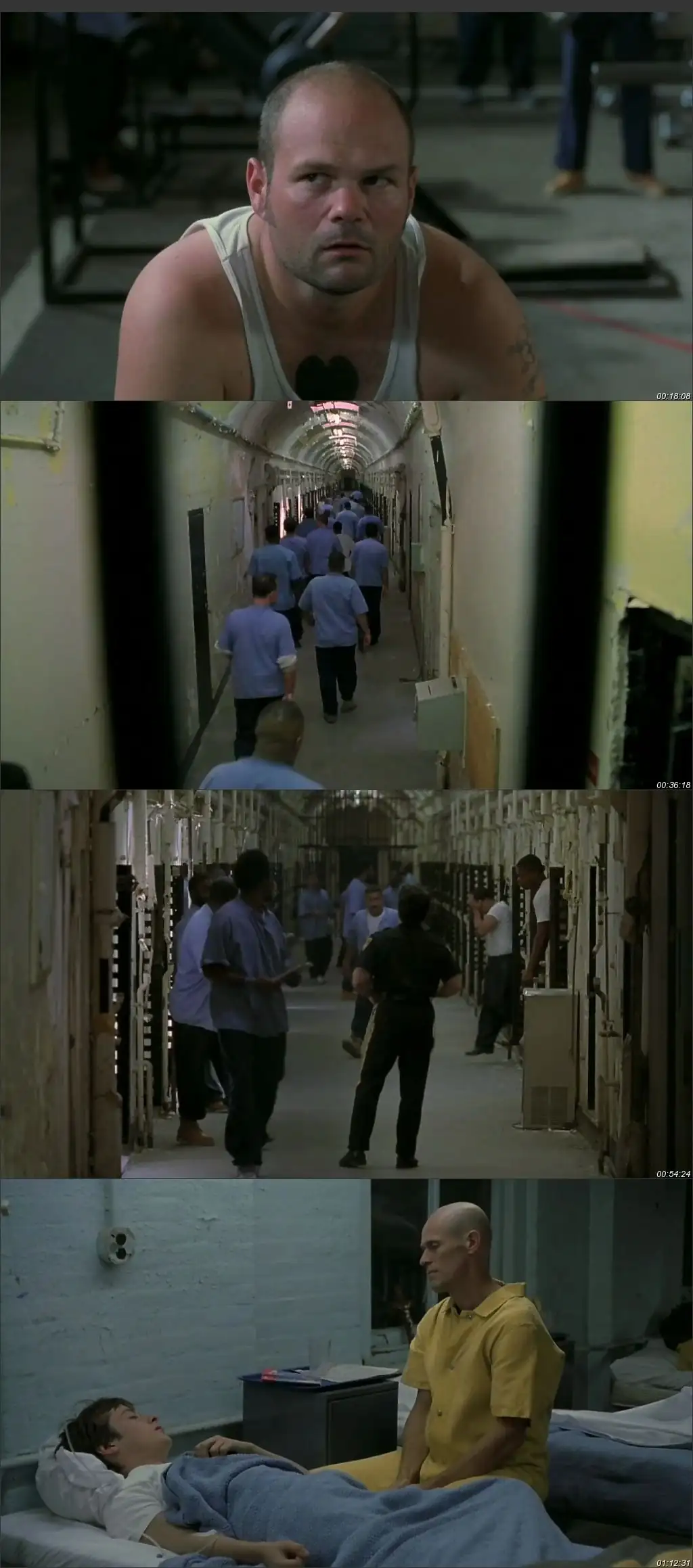 download animal factory (2000) dual audio {hindi-english} 480p [300mb] | 720p [1gb]