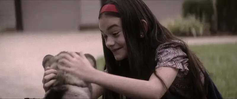 download dog gone (2023) web-dl dual audio {hindi-english} 480p [350mb] | 720p [950mb] | 1080p [2gb]