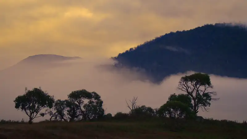 download kangaroo valley (2022) dual audio {hindi-english} 480p [250mb] | 720p [700mb] | 1080p [1.6gb]