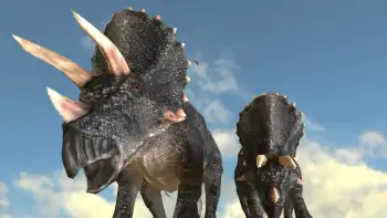 download star paws (2016) dual audio {hindi-english} 480p [300mb] | 720p [800mb]