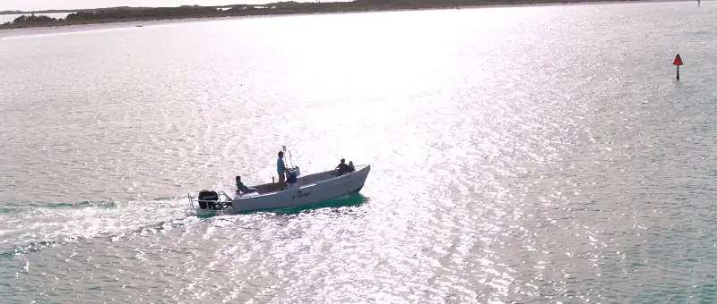 download bernie the dolphin (2018) bluray dual audio {hindi-english} 480p [320mb] | 720p [1.2gb] | 1080p [1.5gb]