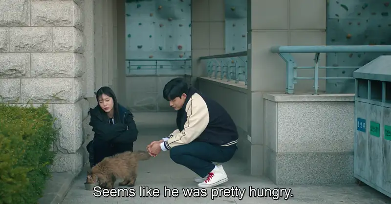 download revenge of others (2022) season 1 [s01e12 added] {korean with english subtitles} 720p [350mb] hevc web-dl