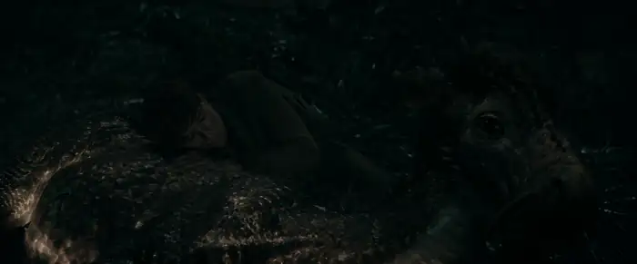 download fantastic beasts 3: the secrets of dumbledore (2022) dual audio {hindi-english} 480p [500mb] | 720p [1.5gb] | 1080p [3.5gb] | 2160p [18gb]