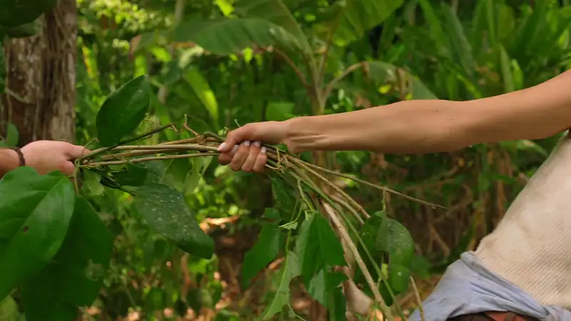 download a costa rican wedding (2024) {english with subtitles} full movie web-dl 480p [250mb] | 720p [680mb] | 1080p [1.6gb]