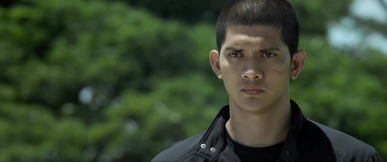 download the raid 2 (2014) dual audio {hindi-english} 480p [500mb] | 720p [1.2gb] | 1080p [2.5gb]