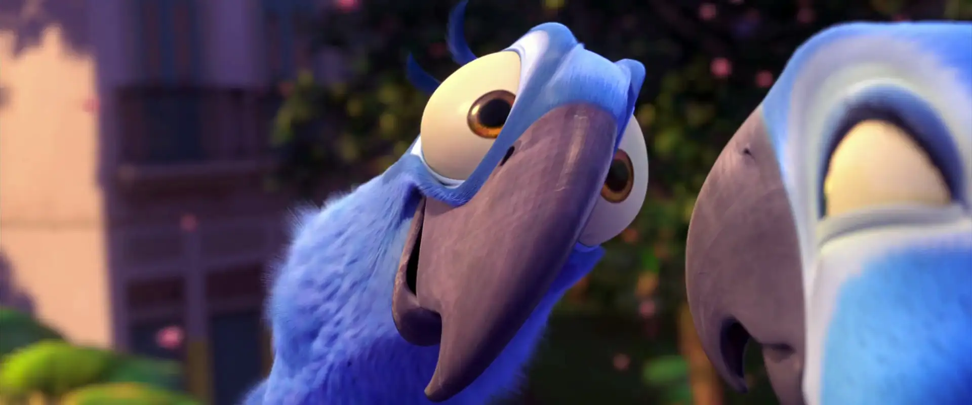 download rio (2011) dual audio {hindi-english} 480p [300mb] | 720p [700mb] | 1080p [1.1gb]