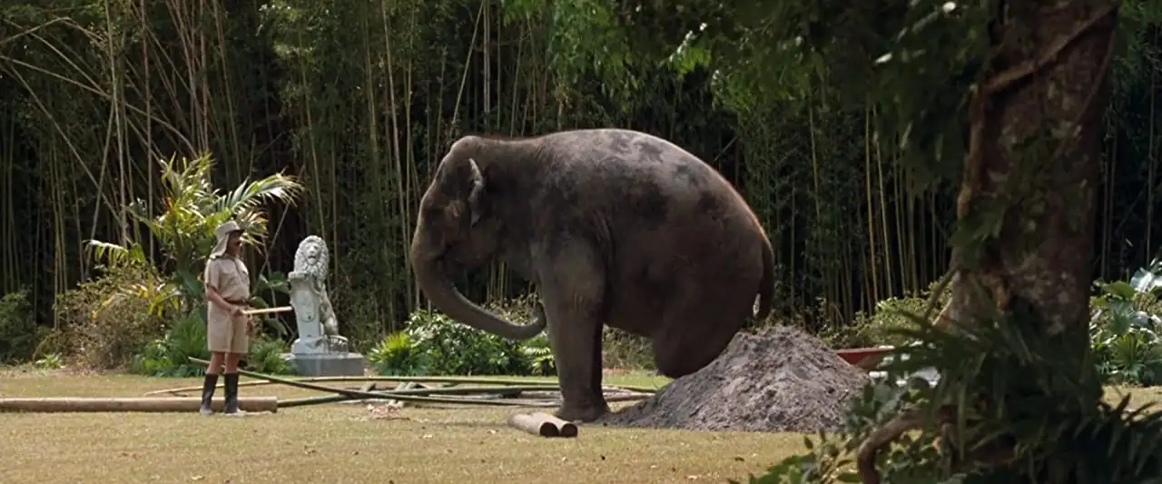 download ace ventura: when nature calls (1995) full movie {english with subtitles} 480p [350mb] | 720p [750mb]