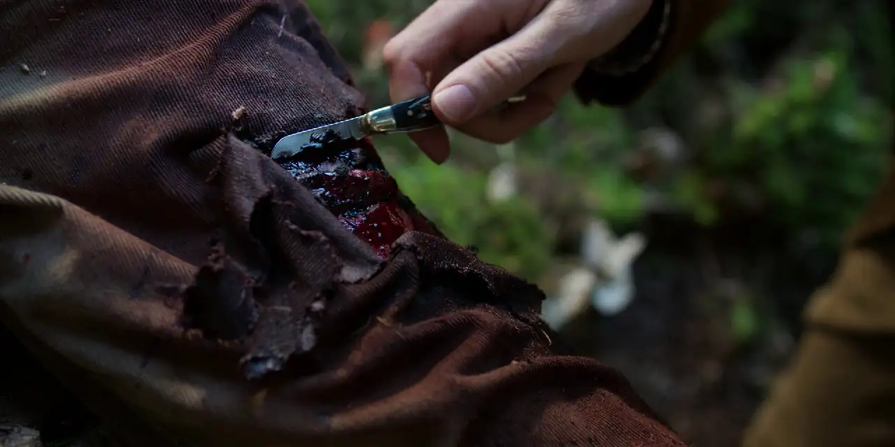 download fate: the winx saga (season 1 - 2) netflix original dual audio {hindi-english} 480p | 720p | 1080p web-dl