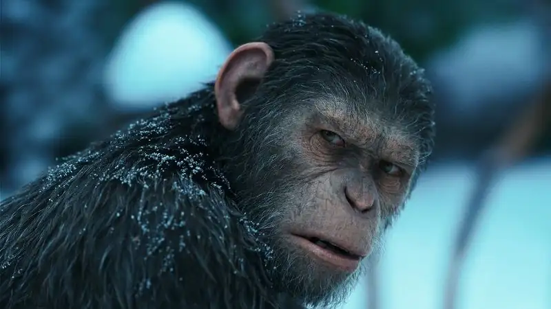download war for the planet of the apes (2017) bluray dual audio {hindi org dd 5.1 - english org dd 5.1 } 480p [550mb] | 720p [1.4gb] | 1080p [2.2gb]