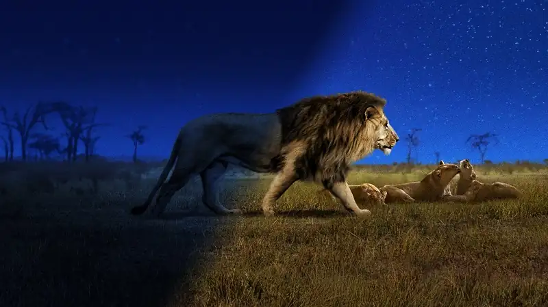 download earth at night in color (season 1 - 2) complete dual-audio {hindi-english} apple tv+ original 1080p | 720p web-dl