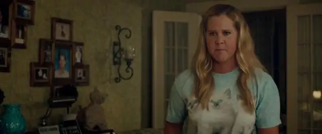 download snatched (2017) dual audio {hindi-english} 480p [300mb] | 720p [1gb]