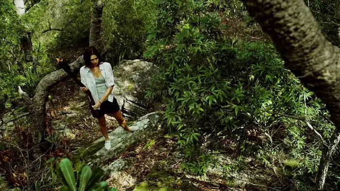 download primal (2010) dual audio {hindi-english} 480p [300mb] | 720p [800mb]