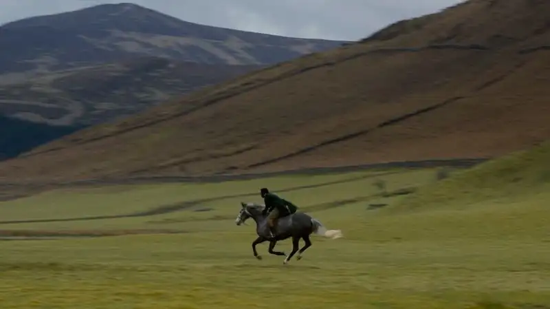 download mr. malcolm’s list (2022) bluray dual audio {hindi-english} 480p [425mb] | 720p [1.1gb] | 1080p [2.6gb] full-movie