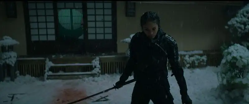 download the shadow strays | netflix original (2024) web-dl dual audio {hindi-english} 480p [520mb] | 720p [1.4gb] | 1080p [2.3gb] | 10bit hevc + x264 + h264