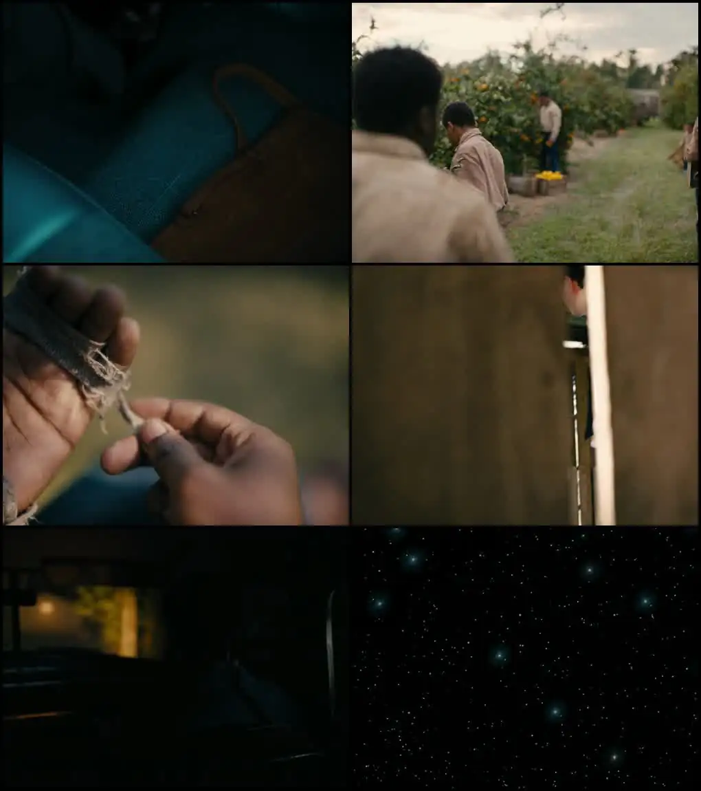 download nickel boys (2024) dual audio {hindi-english} web-dl 480p [450mb] | 720p [1.2gb] | 1080p [2.9gb]