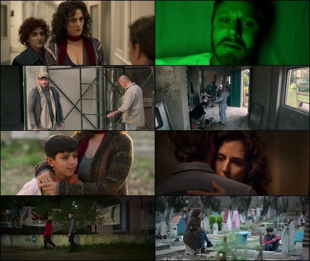 download the heart knows (2025) dual audio {hindi-english} nf web-dl 480p [320mb] | 720p [850mb] | 1080p [1.6gb]