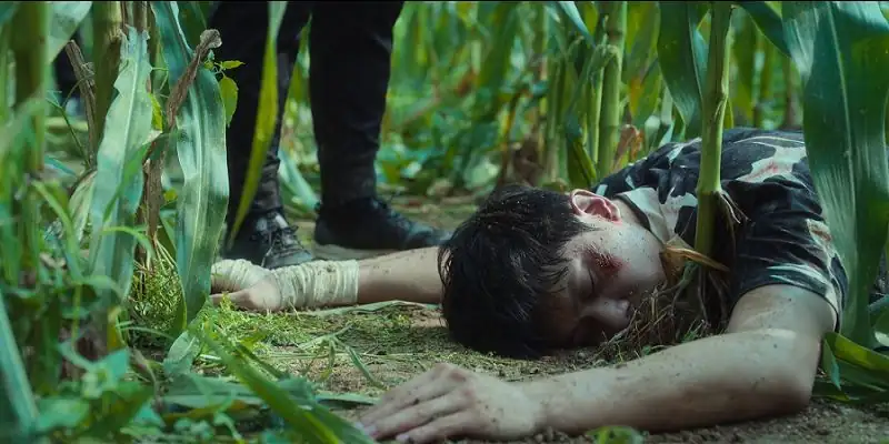 download the frog - netflix original (2024) season 1 multi audio {hindi-english-korean} series 480p | 720p & 1080p web-dl download the frog - netflix original (2024) season 1 multi audio {hindi-english-korean} series 480p | 720p & 1080p web-dl