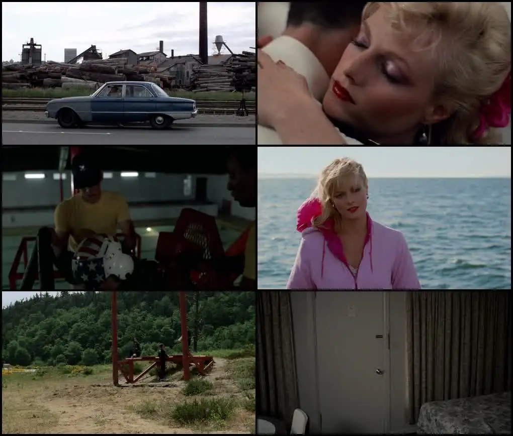 Download An Officer and a GentlemanDual Audio {Hindi English} BluRay 480p [420MB] | 720p [1.2GB] | 1080p [2.5GB] screenshot 1