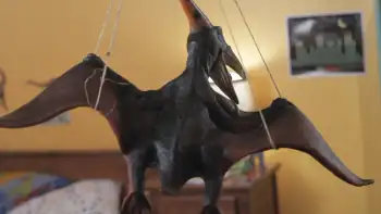 download jurassic school (2017) dual audio {hindi-english} 480p [300mb] | 720p [1gb]