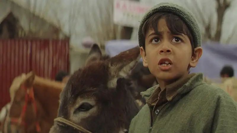 Download TahaanHindi Full Movie WEB DL 480p [250MB] | 720p [900MB] | 1080p [2.5GB] screenshot 1