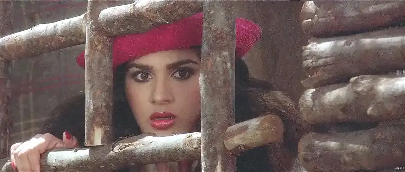 Download HeroHindi Full Movie HDRip 480p [430MB] | 720p [1.3GB] | 1080p [4.2GB] screenshot 4