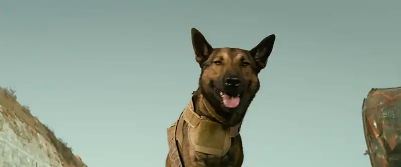 download max (2015) bluray {english with subtitles} full movie 480p [350mb] | 720p [900mb] | 1080p [2gb]