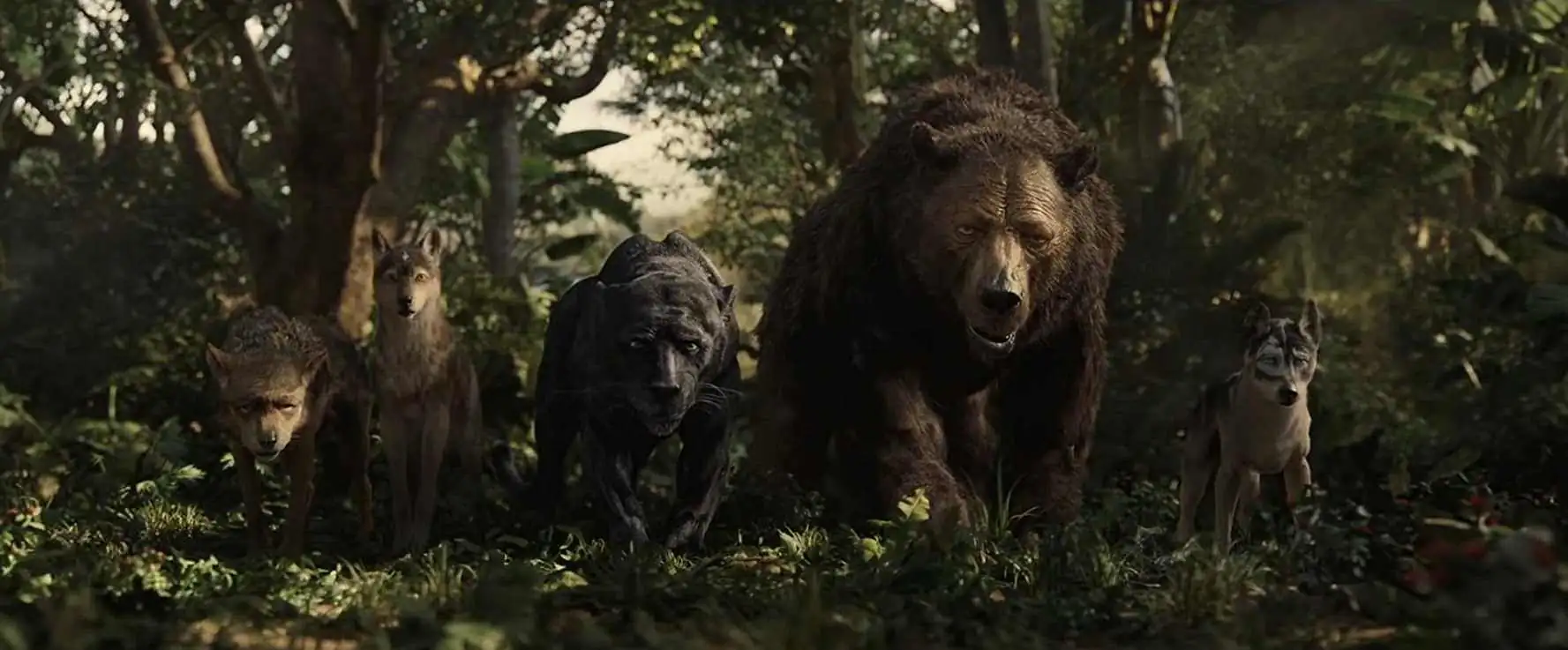 download mowgli: legend of the jungle (2018) dual audio {hindi-english} 480p [350mb] | 720p [1gb] | 1080p bluray