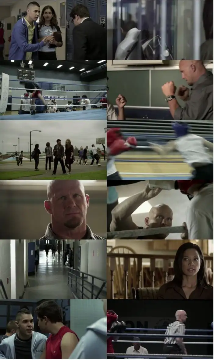 download born to fight (2011) dual audio hindi 480p [300mb] | 720p [800mb]