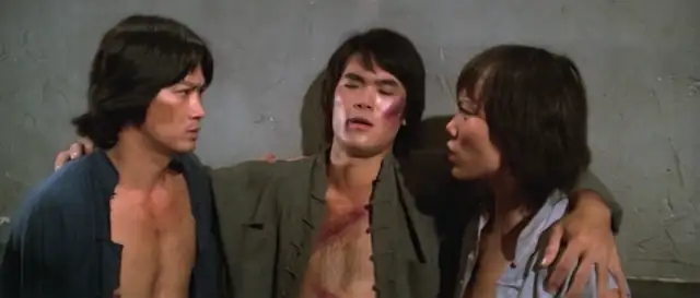 download the magnificent ruffians (1979) dual audio {hindi-english} 480p [350mb] | 720p [1gb]