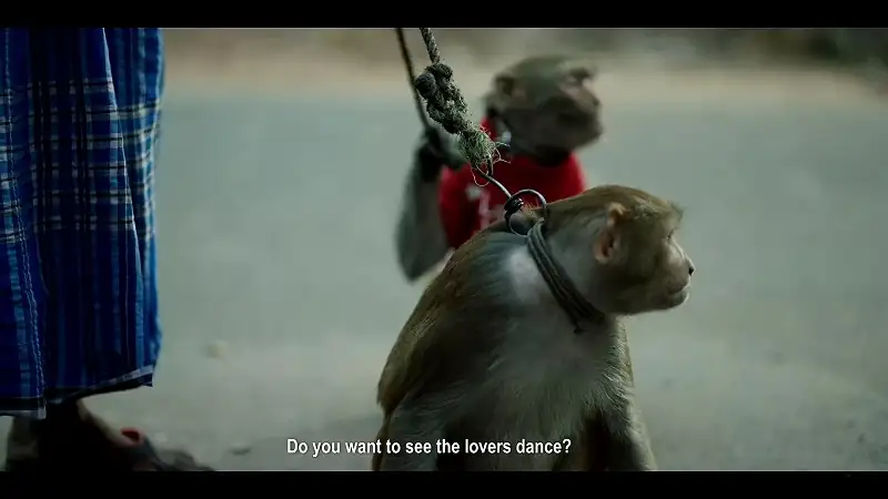 Download LaaliHindi Disney+ Hotstar Full Movie WEB DL 720p [300MB] | 1080p [800MB] screenshot 4