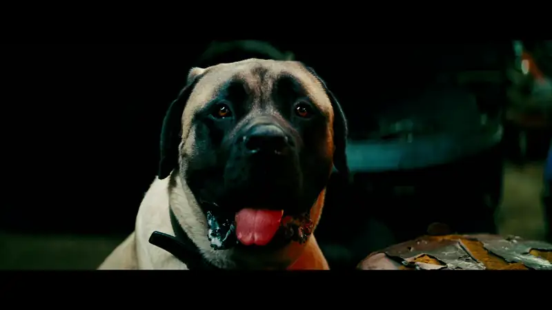 download transformers: revenge of the fallen (2009) dual audio [hindi + english] bluray 480p [450mb] | 720p [1.1gb] | 1080p [4.62gb] | 2160p 4k