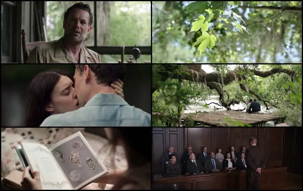 Download Where the Crawdads SingDual Audio [Hindi + English] WeB DL 480p [450MB] | 720p [1.2GB] | 1080p [2.6GB] screenshot 1