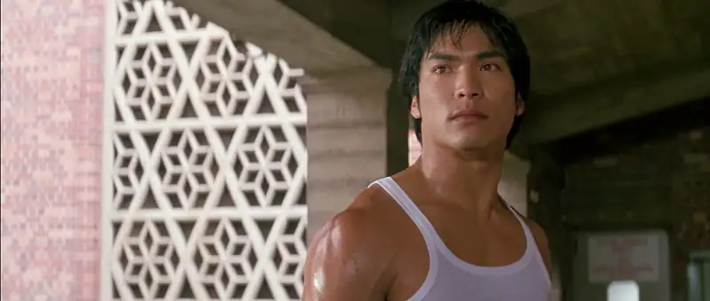 download dragon: the bruce lee story (1993) dual audio {hindi-english} 480p [400mb] | 720p [1.2gb] | 1080p [2.2gb]