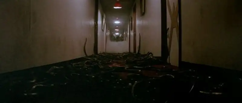 download calamity of snakes (1982) bluray dual audio {hindi-english} 480p [310mb] | 720p [1gb] | 1080p [1.6gb]