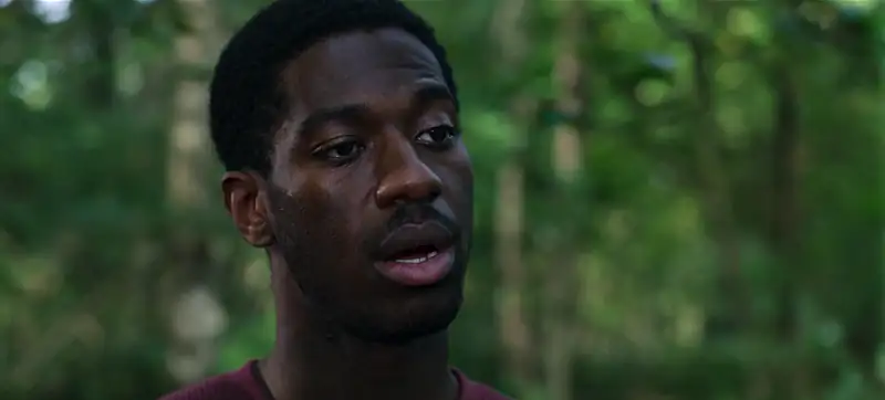 download the strays - netflix original (2023) web-dl dual audio {hindi-english} 480p [300mb] | 720p [650mb] | 1080p [1.3gb]