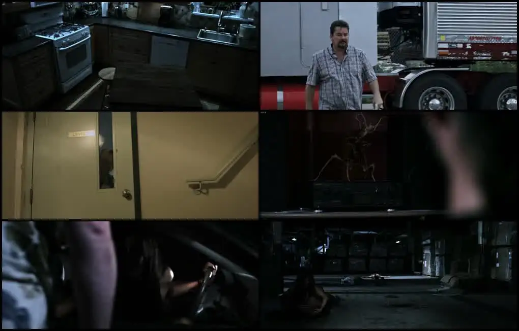 download gray matter (2018) blu-ray {english with subtitles} full movie 720p [740mb] | 1080p [1.4gb]