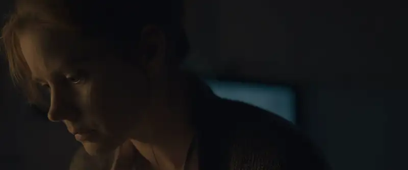 Download ArrivalBlu Ray Dual Audio ORG. {Hindi DD 5.1 – English} 480p [400MB] | 720p [1GB] | 1080p [2.5GB] | 2160p 4K screenshot 3