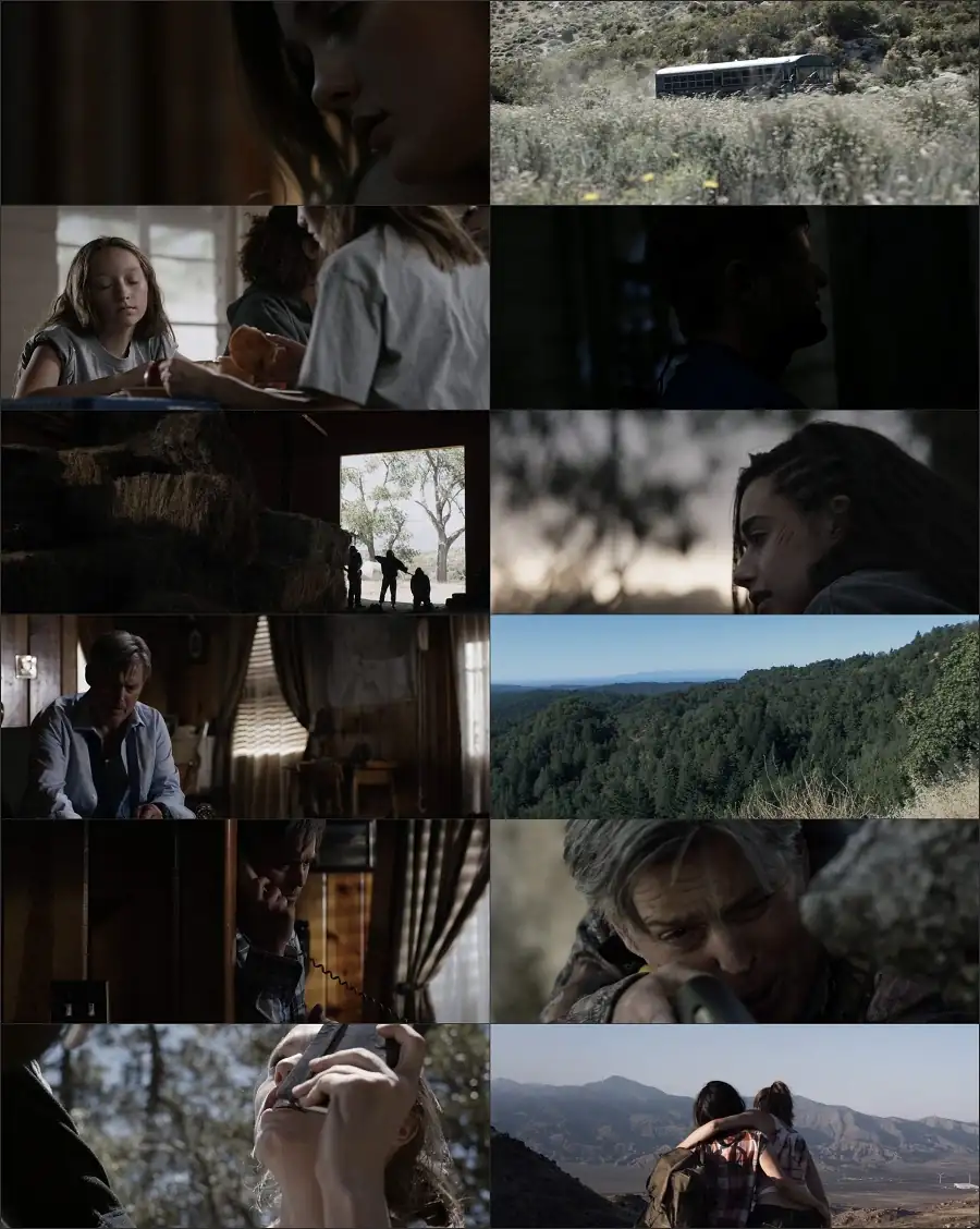 Download The ArcherDual Audio [Hindi English] 480p [300MB] | 720p [950MB] | 1080p [1.8GB] screenshot 1