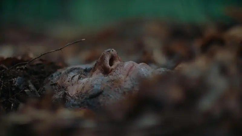 download the woods are real (2024) web-dl {english with subtitles} full movie 480p [250mb] | 720p [700mb] | 1080p [1.5gb]