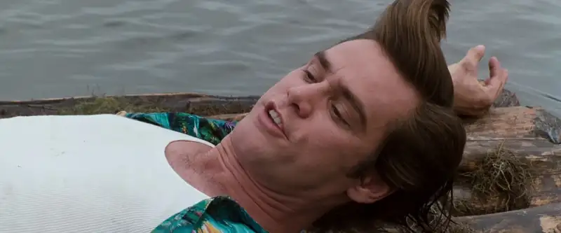 download ace ventura: when nature calls (1995) dual audio [hindi + english] web-dl 480p [350mb] | 720p [850mb] | 1080p [1.6gb]