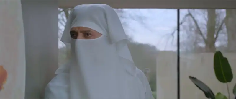 Download Mister MummyWEB DL [Hindi DD5.1] Full Movie 480p [350MB] | 720p [850MB] | 1080p [2GB] screenshot 4