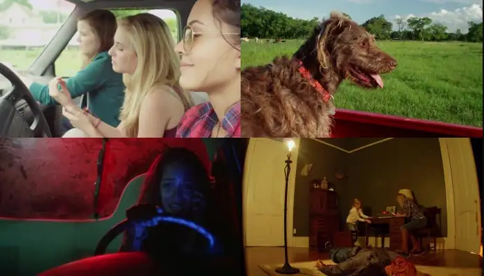 download night of the wild (2015) dual audio {hindi-english} 480p [300mb] | 720p [800mb]