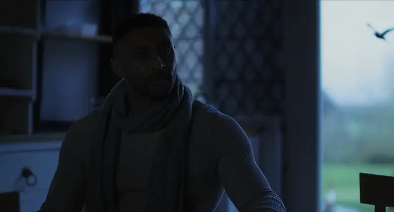 download spider in the attic (2021) dual audio {hindi-english} 480p [300mb] | 720p [900mb]