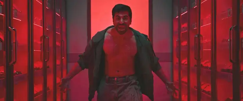 Download ThammaAMZN WEB DL {Hindi DD5.1} Full Movie 480p [360MB] | 720p [1GB] | 1080p [3.8GB] | 2160p 4K screenshot 4