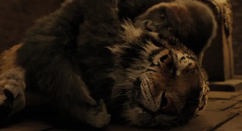 download dolittle (2020) bluray dual audio {hindi-english} 480p [350mb] | 720p [1.1gb] | 1080p [3.4gb] | 2160p [5.3gb] 4k uhd sdr